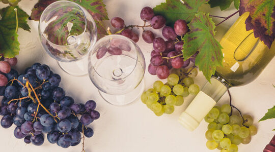 oenotourisme-top-5-des-plus-belles-regions-de-france